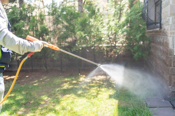 Best Commercial Pest Control  in Sandstone, MN